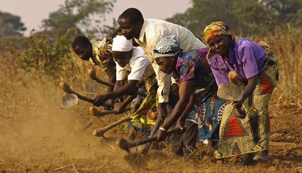 International Labour Organization (ILO)