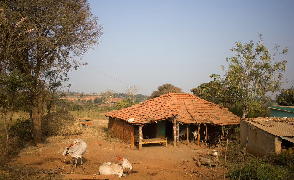 United Nations Human Settlements Programme (UN-HABITAT)