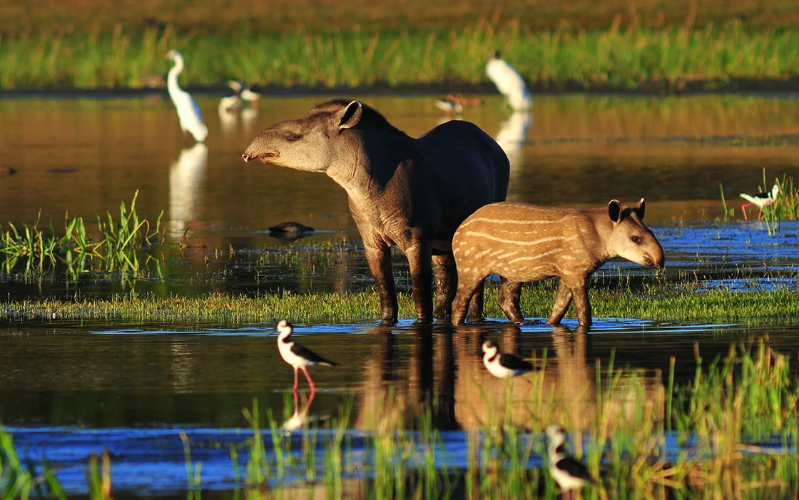 United Nations Environment Programme (UNEP)